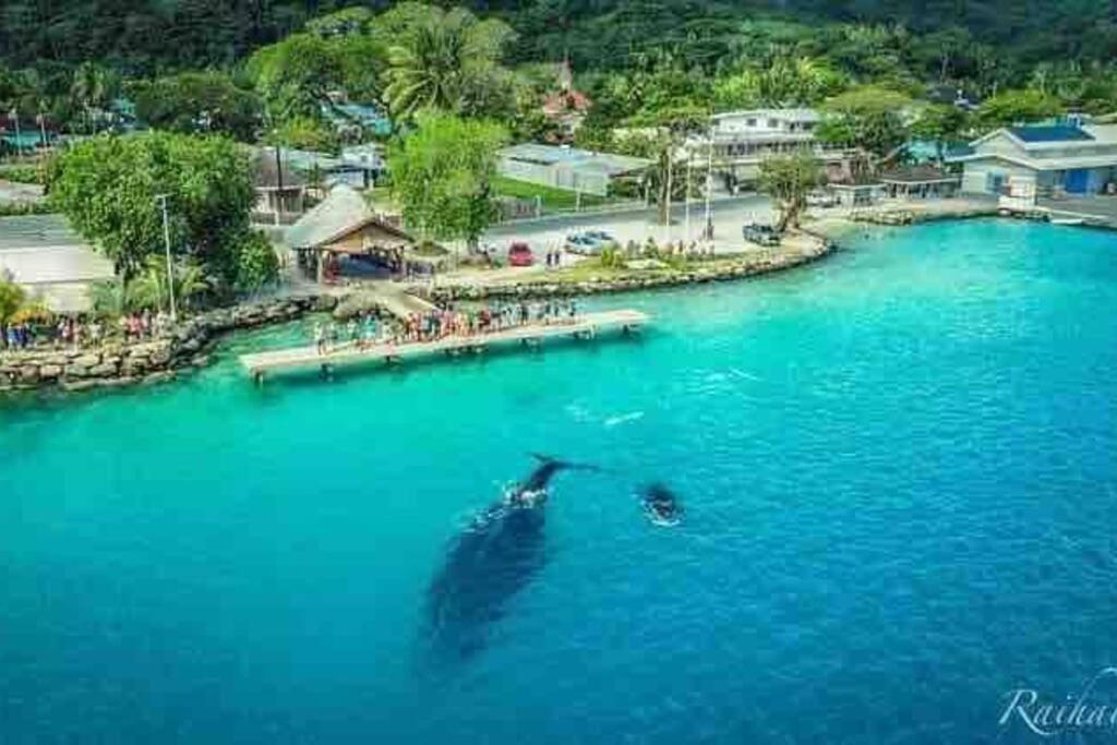 Meri Lodge Huahine Fare Bagian luar foto
